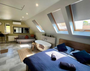 Eger's Flow Apartment